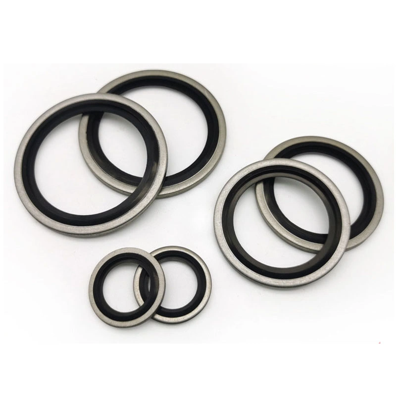 Zelfcentraliserend 304 roestvrij staal Dowty Seal Gasket NBR Rubber Bonded Seal Washer 0