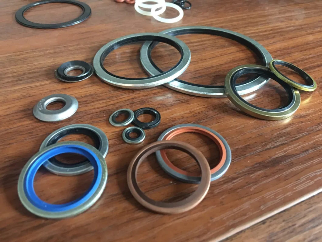 Zelfcentraliserend 304 roestvrij staal Dowty Seal Gasket NBR Rubber Bonded Seal Washer 2