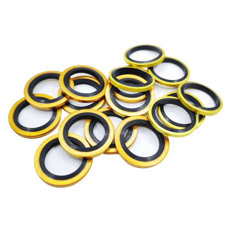 Zelfcentraliserend 304 roestvrij staal Dowty Seal Gasket NBR Rubber Bonded Seal Washer 6