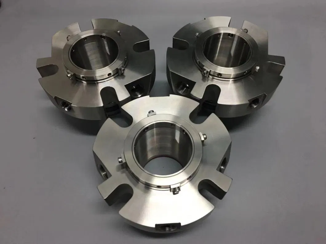 Gd dubbel-end gebalanceerd mechanisch afdichting in hoge temperatuur thermische olie omstandigheden 4