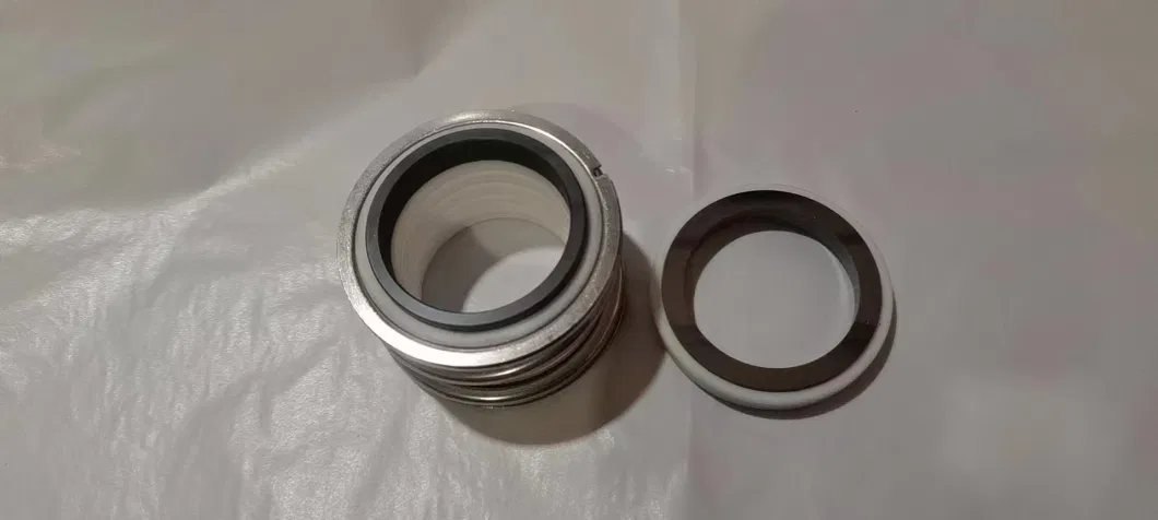 Hoogtemperatuurbestendige mechanische vervaardiging OIL SEAL voor ketel 1